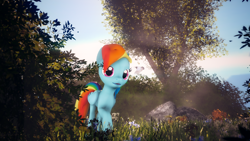 Size: 3840x2160 | Tagged: safe, artist:melodycloud14, derpibooru import, rainbow dash, pegasus, pony, 3d, calm, grass, poster, rock, scenery, solo, source filmmaker, tree