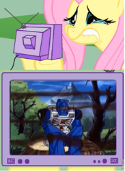 Size: 441x601 | Tagged: safe, fluttershy, pegasus, pony, beachcomber (transformers), exploitable meme, fluttercry, meme, transformers, tv meme