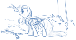 Size: 1280x675 | Tagged: safe, artist:php27, fluttershy, bird, pegasus, pony, female, looking at something, looking up, mare, monochrome, outdoors, profile, sketch, smiling, solo focus, standing, wings