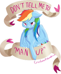 Size: 1280x1549 | Tagged: safe, artist:tricolorarts, rainbow dash, pegasus, pony, feminist ponies, looking at you, message, mouthpiece, old banner, positive ponies, solo, subversive kawaii