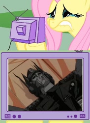 Size: 379x518 | Tagged: safe, fluttershy, pegasus, pony, death, exploitable meme, meme, obligatory pony, optimus prime, transformers, tv meme