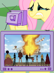 Size: 563x771 | Tagged: safe, fluttershy, pegasus, pony, exploitable meme, going merry, meme, one piece, tv meme