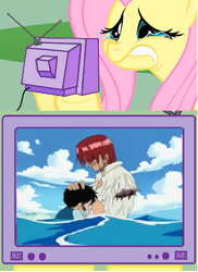 Size: 565x774 | Tagged: safe, fluttershy, pegasus, pony, exploitable meme, meme, monkey d luffy, one piece, shanks, tv meme