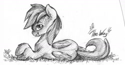 Size: 1736x913 | Tagged: safe, artist:the-wag, derpibooru import, rainbow dash, pegasus, pony, explicit source, solo, traditional art