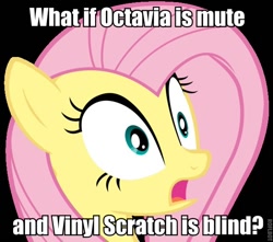 Size: 600x531 | Tagged: safe, fluttershy, pegasus, pony, female, image macro, insane fan theory, mare, meta