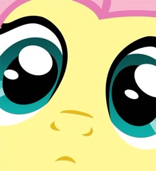 Size: 500x549 | Tagged: safe, fluttershy, pegasus, pony, close up series, close-up, extreme close up, solo, stare