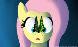 Size: 1650x990 | Tagged: safe, artist:equinox23, fluttershy, butterfly, pegasus, pony, bust, butterfly on nose, cross-eyed, female, full face view, gradient background, insect on nose, looking at something, mare, open mouth, solo