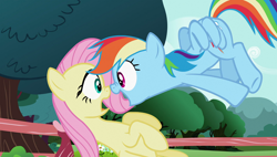 Size: 1920x1090 | Tagged: safe, derpibooru import, screencap, fluttershy, rainbow dash, pegasus, pony, may the best pet win, out of context