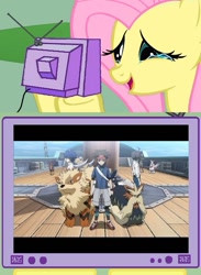 Size: 563x771 | Tagged: safe, fluttershy, human, pony, arcanine, exploitable meme, how the pokemon anime should be, liepard, meme, pokémon, samurott, stoutland, tv meme, zangoose