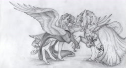 Size: 6808x3648 | Tagged: safe, artist:dawn22eagle, derpibooru import, applejack, rainbow dash, earth pony, pegasus, pony, absurd resolution, appledash, black and white, clothes, dress, female, flower, grayscale, lesbian, monochrome, shipping, traditional art, wings