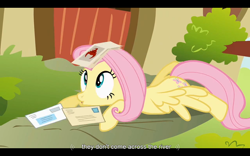 Size: 1024x640 | Tagged: safe, screencap, fluttershy, pegasus, pony, putting your hoof down, female, mare, youtube caption