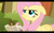 Size: 1024x640 | Tagged: safe, screencap, fluttershy, pegasus, pony, putting your hoof down, hindu, hinduism, youtube caption