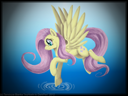 Size: 900x675 | Tagged: safe, artist:inuhoshi-to-darkpen, fluttershy, pegasus, pony, female, mare, solo, water