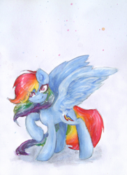 Size: 2766x3791 | Tagged: safe, artist:catseye-view, rainbow dash, pegasus, pony, blue coat, female, mare, multicolored mane, simple background, solo, white background, wings