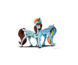 Size: 3000x2500 | Tagged: safe, artist:skitsroom, derpibooru import, rainbow dash, oc, oc:linormusicbeat, pegasus, pony, shipping, unshorn fetlocks