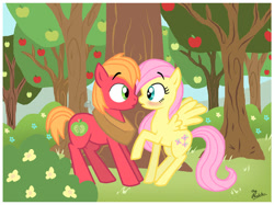 Size: 600x448 | Tagged: safe, artist:thephoebster, big macintosh, fluttershy, earth pony, pegasus, pony, blushing, colt, filly, fluttermac, imminent kissing, male, shipping, stallion, straight