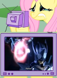 Size: 563x771 | Tagged: safe, fluttershy, pegasus, pony, exploitable meme, fluttercry, kamen rider, kamen rider kabuto, kamen rider kick hopper, kamen rider punch hopper, meme, tv meme