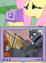 Size: 563x771 | Tagged: safe, fluttershy, human, pony, exploitable meme, hogarth hughes, meme, the iron giant, tv meme