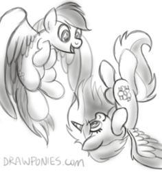 Size: 527x558 | Tagged: safe, artist:drawponies, rainbow dash, oc, alicorn, pegasus, pony, alicorn oc, duo, female, flying, horn, looking at each other, mare, open mouth, sketch, smiling, spread wings, wings