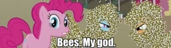 Size: 513x145 | Tagged: safe, derpibooru import, applejack, pinkie pie, rainbow dash, bee, earth pony, pegasus, pony, castle mane-ia, batman, bees my god, caption, image macro