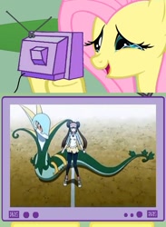 Size: 563x771 | Tagged: safe, fluttershy, pegasus, pony, exploitable meme, meme, pokémon, rosa, serperior, tv meme