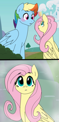 Size: 1611x3328 | Tagged: safe, artist:dilemmas4u, derpibooru import, fluttershy, rainbow blitz, rainbow dash, pegasus, pony, blushing, female, flutterblitz, flutterdash, half r63 shipping, looking at each other, male, rule 63, shipping, straight