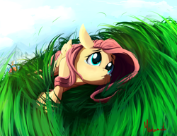 Size: 1400x1080 | Tagged: safe, artist:miokomata, derpibooru import, fluttershy, rainbow dash, pegasus, pony, crying, cute, female, folded wings, grass, grass field, imminent snuggles, looking up, lying down, mare, on side, sad, sadorable, sky, solo focus, teary eyes, unaware, when you see it