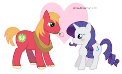 Size: 1293x780 | Tagged: safe, artist:jevsy, big macintosh, rarity, earth pony, pony, unicorn, flower, heart, male, rarimac, shipping, stallion, straight