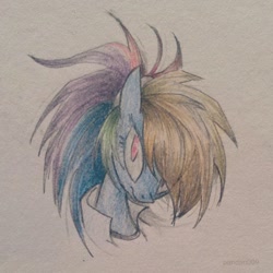 Size: 1024x1024 | Tagged: safe, artist:pandan009, derpibooru import, rainbow dash, pegasus, pony, bust, photo, portrait, solo, traditional art