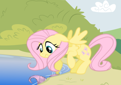 Size: 842x595 | Tagged: safe, artist:tgolyi, fluttershy, pegasus, pony, female, mare, svg, vector