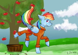 Size: 5787x4092 | Tagged: safe, artist:himitsuartmlp, rainbow dash, pegasus, pony, absurd resolution, apple, apple tree, applebucking, bound wings, chains, clothes, community service, crying, prison outfit, prisoner, prisoner rd, sad, solo, tree