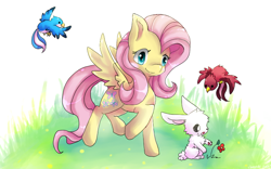 Size: 800x500 | Tagged: safe, artist:cheerubi, fluttershy, bird, pegasus, pony, rabbit, animal, cute, female, flower, grass, mare, outdoors, raised hoof, shyabetes, smiling, solo, spread wings, three quarter view, wings