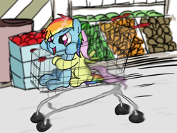 Size: 800x600 | Tagged: safe, artist:ehfkdl569, derpibooru import, fluttershy, rainbow dash, pegasus, pony, duo, female, filly, shopping cart