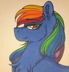 Size: 1210x1279 | Tagged: safe, artist:nightmare-moons-throneroom, derpibooru import, rainbow dash, pegasus, pony, bust, grin, smiling, solo, traditional art