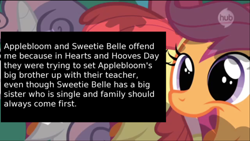 Size: 500x282 | Tagged: safe, screencap, apple bloom, big macintosh, cheerilee, rarity, scootaloo, sweetie belle, pony, unicorn, hearts and hooves day (episode), cutie mark crusaders, hearts and hooves day, meta, offensive ponies, text