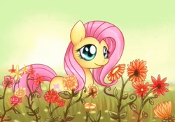 Size: 1000x700 | Tagged: safe, artist:solar-slash, fluttershy, pegasus, pony, female, mare, pink mane, solo, yellow coat