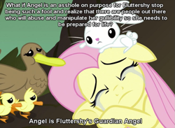 Size: 655x480 | Tagged: safe, angel bunny, fluttershy, pegasus, pony, female, headcanon, mare, meta