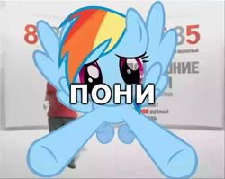 Size: 601x478 | Tagged: safe, rainbow dash, pegasus, pony, context is for the weak, domashniye den'gi, russian, youtube link, youtube poop