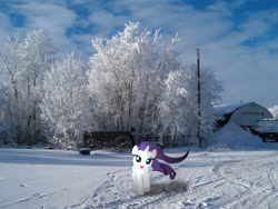 Size: 604x453 | Tagged: safe, artist:1vonreich123, rarity, irl, photo, ponies in real life, snow, snow tracks, vector