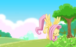 Size: 1280x800 | Tagged: safe, artist:mysticalpha, fluttershy, pegasus, pony, female, mare, solo, wallpaper