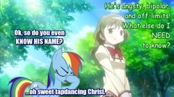 Size: 510x286 | Tagged: safe, rainbow dash, pegasus, pony, crossover, disloyalty, facehoof, frustration, image macro, loyalty, meme, photoshop, puella magi madoka magica, shizuki hitomi