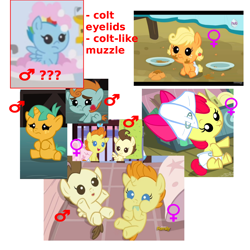 Size: 1200x1200 | Tagged: safe, derpibooru import, screencap, apple bloom, applejack, pound cake, pumpkin cake, rainbow dash, snails, snips, earth pony, pegasus, pony, parental glideance, baby, baby apple bloom, baby dash, baby pony, babyjack, colt, female, filly, foal, implications, male, mare, theory, trans girl, trans mare rainbow dash, trans rainbow dash, transgender, viewer gender confusion