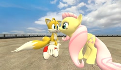 Size: 1024x600 | Tagged: dead source, safe, artist:louie123456789, fluttershy, pegasus, pony, crossover, crossover shipping, female, fluttertails, gmod, interspecies, love, male, miles "tails" prower, shipping, sonic the hedgehog (series), straight