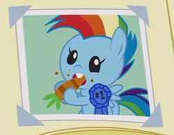 Size: 514x400 | Tagged: safe, derpibooru import, screencap, rainbow dash, pegasus, pony, parental glideance, baby, baby dash, baby pony, blue ribbon, carrot, cute, dashabetes, foal, food, nom, photo, scrapbook