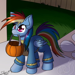 Size: 1000x1000 | Tagged: safe, artist:silverfox057, rainbow dash, pegasus, pony, clothes, costume, filly, filly rainbow dash, halloween, mouth hold, pumpkin bucket, signature, solo, trick or treat, uniform, wonderbolts, wonderbolts uniform