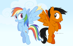 Size: 1320x840 | Tagged: safe, artist:dm29, rainbow dash, oc, pegasus, pony, duo, female, male, mare, stallion