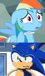 Size: 476x795 | Tagged: safe, rainbow dash, pegasus, pony, copy and paste, crossover, crossover shipping, downvote bait, female, interspecies, interspecies offspring, male, pregnancy test, pregnancy test meme, shipping, sonic the hedgehog, sonic the hedgehog (series), sonic x, sonicdash, straight