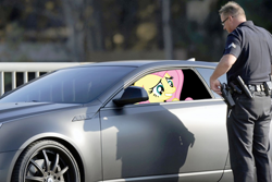 Size: 1000x667 | Tagged: safe, fluttershy, human, pony, car, irl, photo, police, ponies in real life, vector