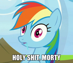 Size: 748x647 | Tagged: safe, derpibooru import, edit, edited screencap, screencap, rainbow dash, pegasus, pony, parental glideance, drool, faic, i've seen some shit, image macro, meme, rick and morty, solo, vulgar