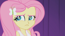 Size: 1904x1064 | Tagged: safe, edit, screencap, fluttershy, rainbow dash, equestria girls, rainbow rocks, death stare, hate